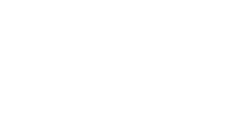 Blockage Doctor Logo